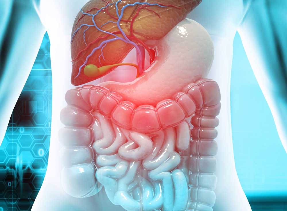 Gastroenterology